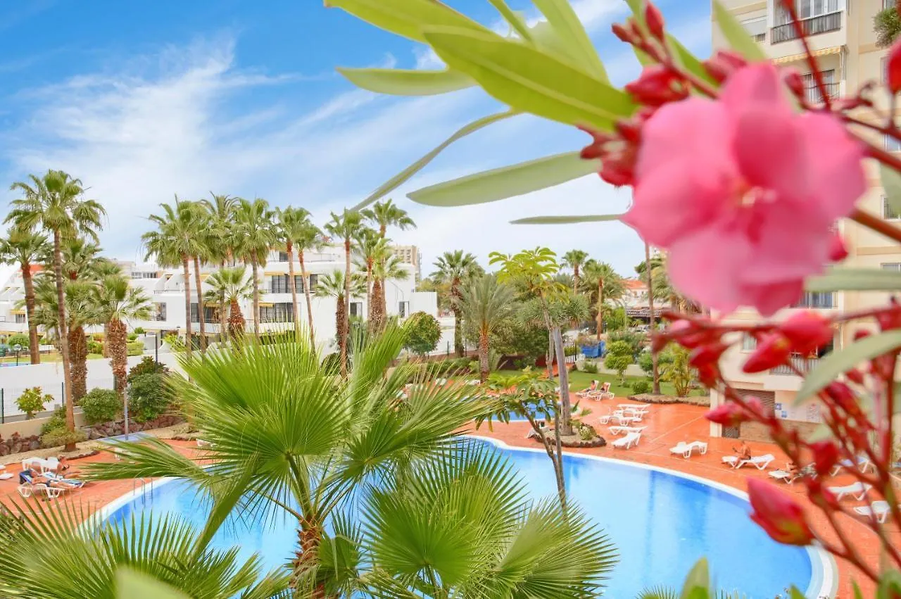 Studio Eldorado In Playa De Las Americas Near The Beach Arona  Arona (Tenerife)